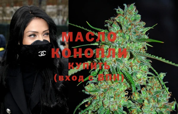 индика Абинск