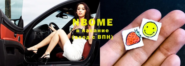 индика Абинск