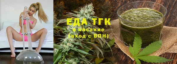 индика Абинск