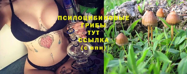 индика Абинск