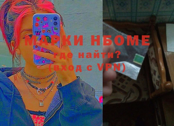 индика Абинск