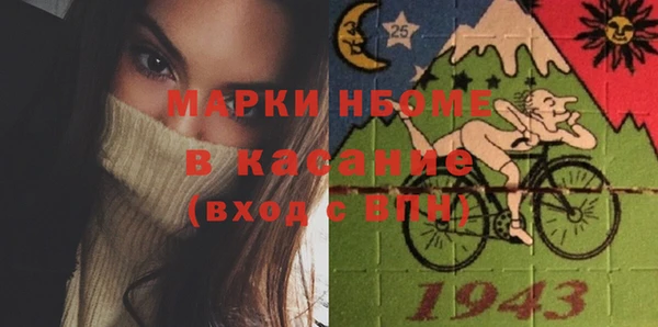 индика Абинск
